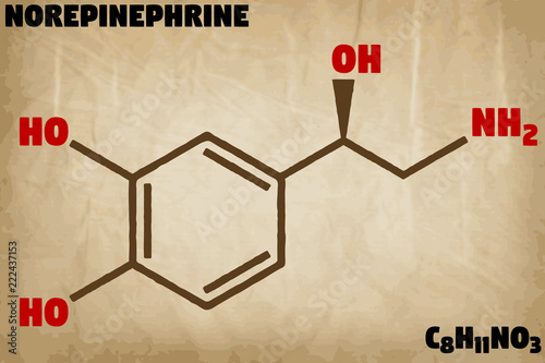 Detailed infographic illustration of the molecule of Norepinephrine.