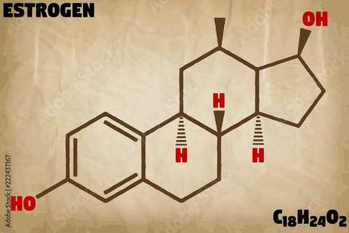 Detailed infographic illustration of the molecule of Estrogen.