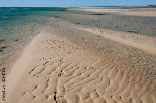Sandbar in Monkey Mia - Western Australia