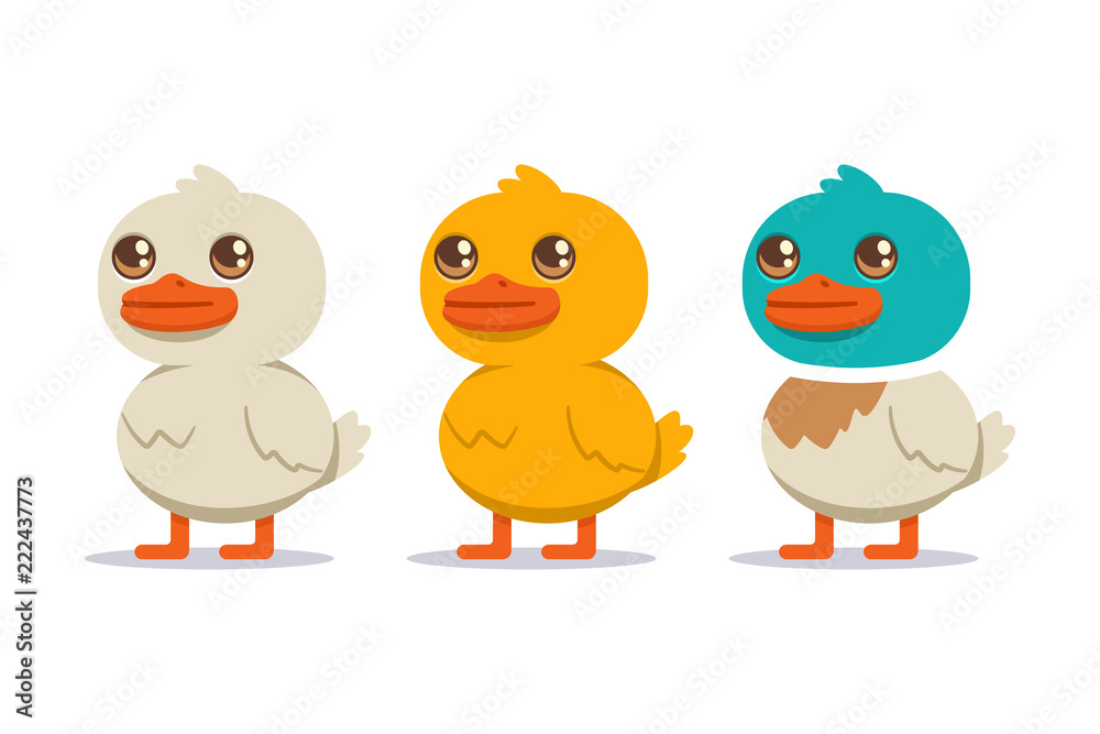 White, yellow and colored duck set. Vector cartoon bird character isolated on white background.