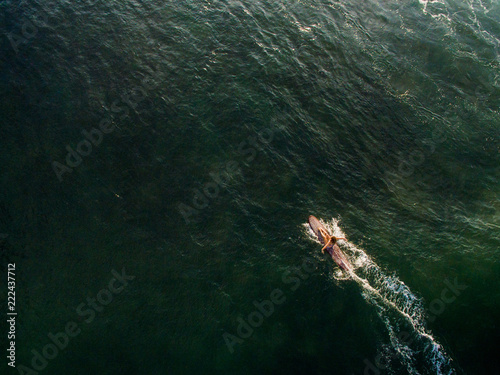 lonely surfer paddling longboard aerial view surfergirl sitting surf canggu indonesia photo