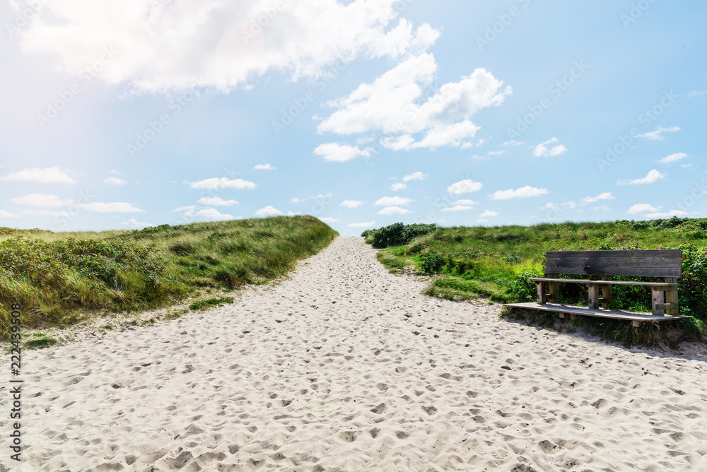 Naklejka premium footpath leading to beach in grass covered dunes under blue sky