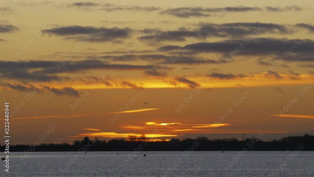 Wispy clouds float across colourful golden morning sunrise over lake over lake with flying birds in silhouette, England Wispy clouds float across colourful golden morning sunrise over lake over lake with flying birds in silhouette, England