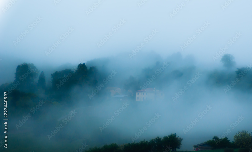 Nebbia nelle campagne marchigiane