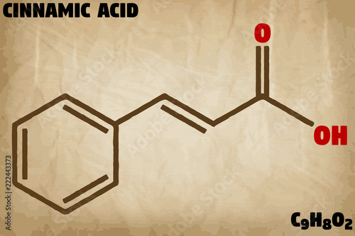 Detailed infographic illustration of the molecule of Cinnamic acid.