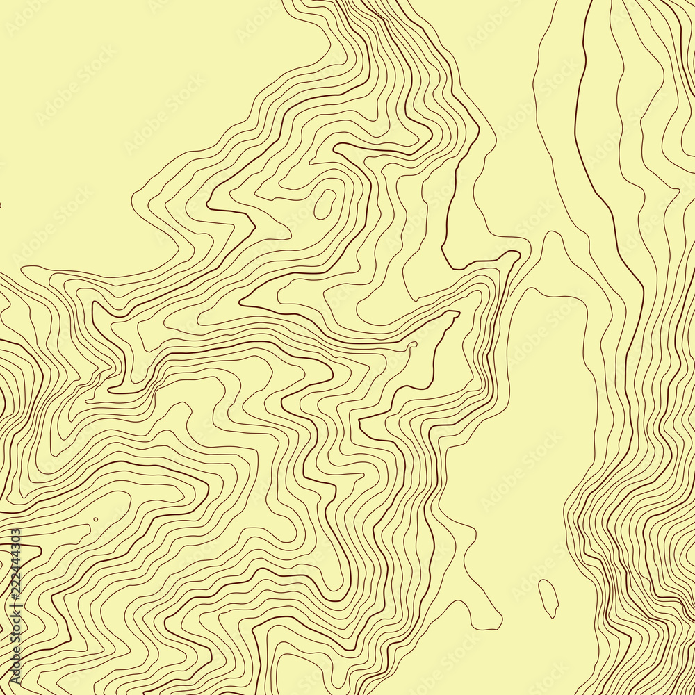 The stylized height of the topographic contour in lines and contours. The concept of a conditional geography scheme and the terrain path. Vector illustration. The stylized height of the topographic contour in lines and contours. The concept of a conditional geography scheme and the terrain path. Vector illustration.