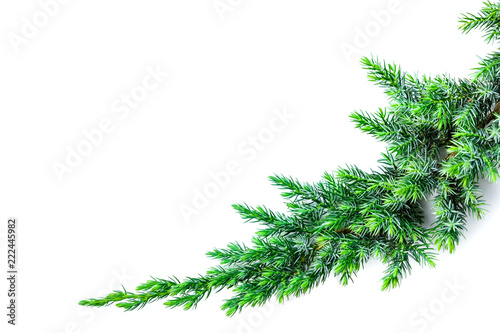 Spruce Branche Christmas and New Year s Decor. Isolated With A Shadow. Close-up. Holiday Composition White Background Copy Space