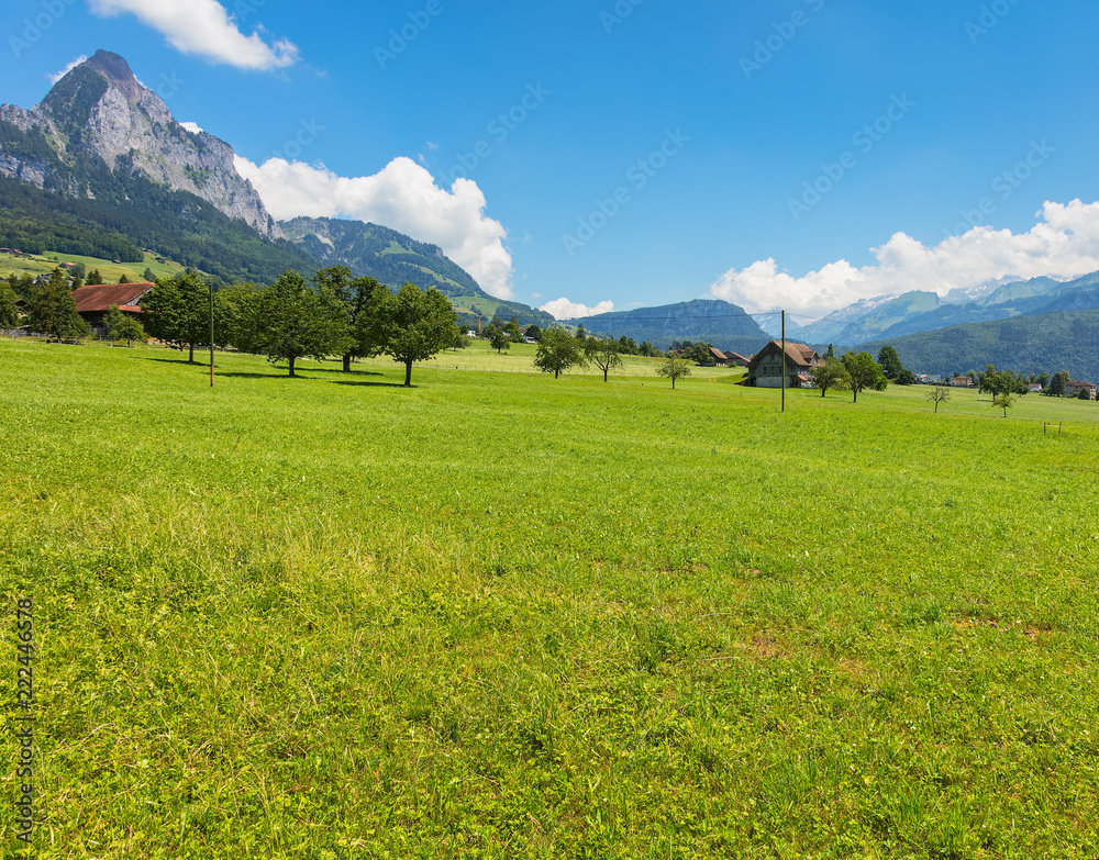 A summertime view from the village of Seewen in the Swiss canton of Schwyz.