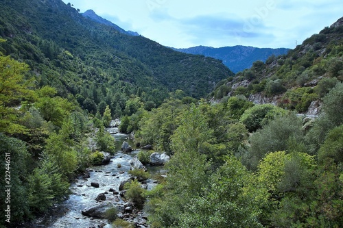 Corsica-river Golo