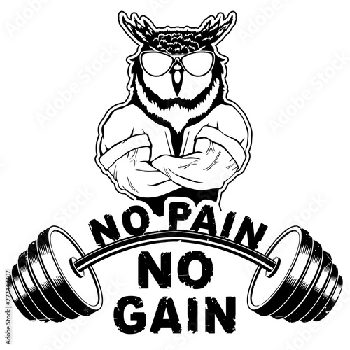 Vector illustration barbell and strong owl. "No pain - no gain" inspirational lettering.