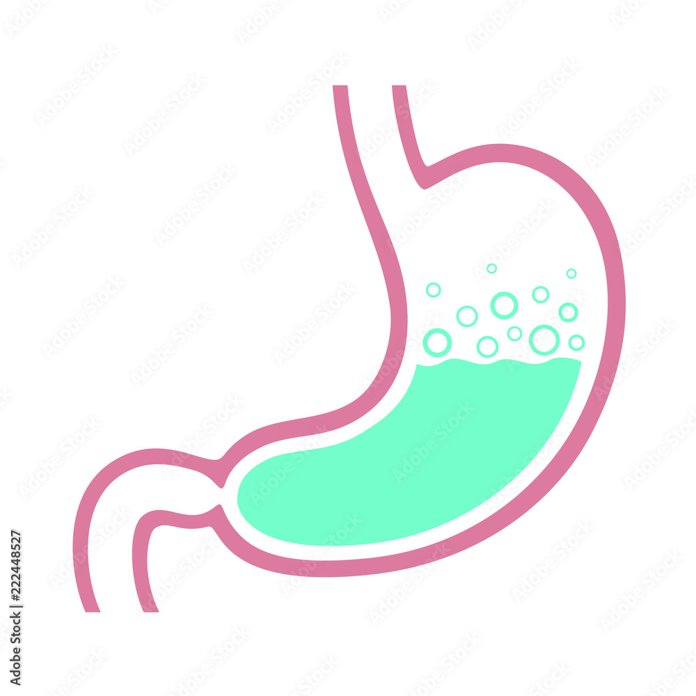 Stomach human graphic icon. Sign stomach with stomach gas and gastric acid. Medical symbol isolated on white background. Vector illustration Stomach human graphic icon. Sign stomach with stomach gas and gastric acid. Medical symbol isolated on white background. Vector illustration