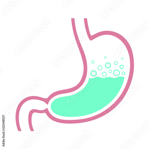 Stomach human graphic icon. Sign stomach with stomach gas and gastric acid. Medical symbol isolated on white background. Vector illustration