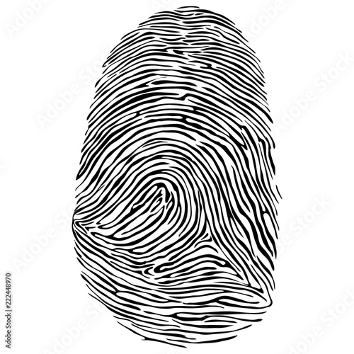 Vector illustration of fingerprint.