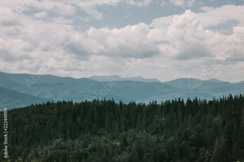 cloudly summer landscape of Carpathian mountains  pine forest and sky. Ukraine