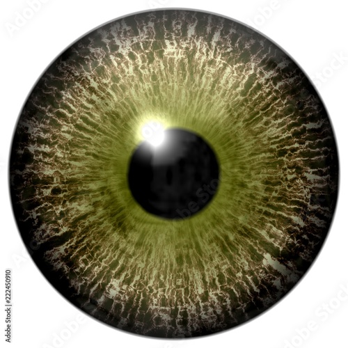 Fototapeta Naklejka Na Ścianę i Meble -  Colorized brown 3d human eyeball, isolated white background, black pupil