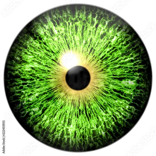Halloween isolated on white green eye, eyeball texture with black pupil
