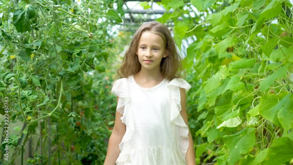 Adorable little girl harvesting cucumbers and tomatoes in greenhouse.