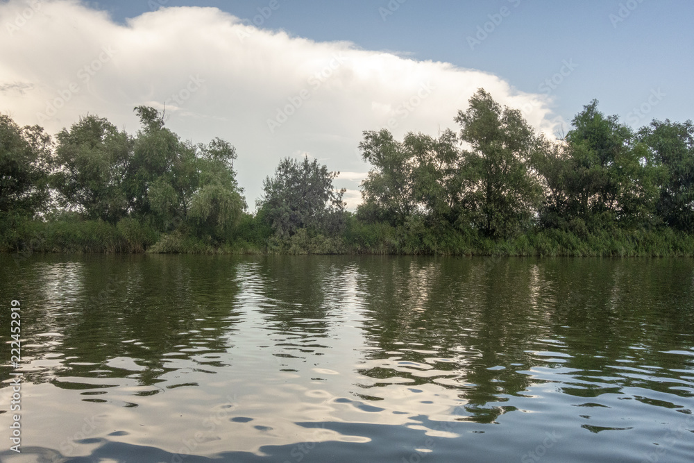 Landscape with waterline, reeds and vegetation,  water reflections, clouds, at sunset, in Danube Delta,  Romania