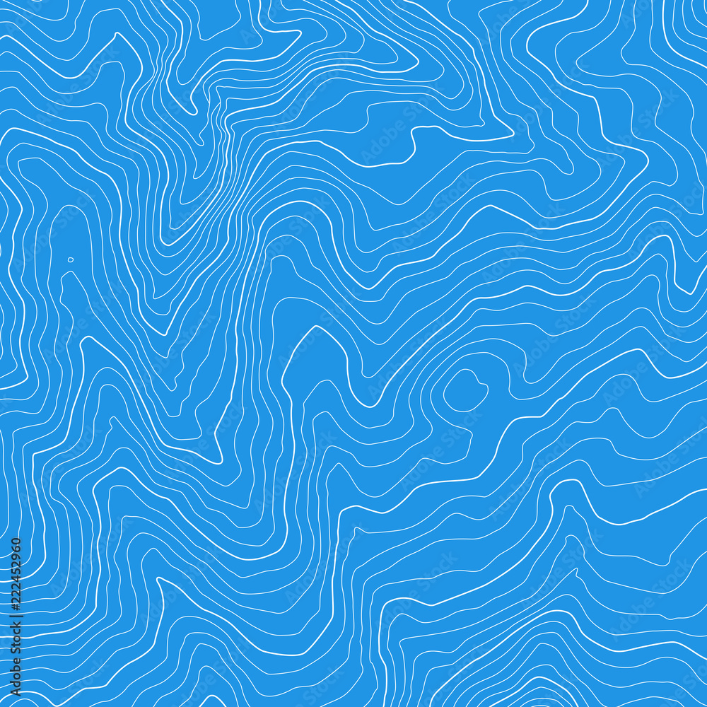 Obraz premium The stylized height of the topographic contour in lines and contours. The concept of a conditional geography scheme and the terrain path. Vector illustration.