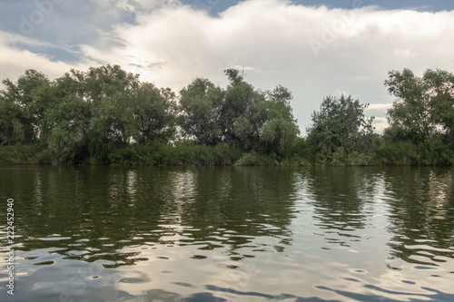 Landscape with waterline, reeds and vegetation,  water reflections, clouds, at sunset, in Danube Delta,  Romania