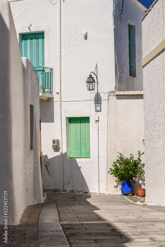 Fototapeta Naklejka Na Ścianę i Meble -  Cyclades style streets and architecture in Lefkes village, Paros, Greece