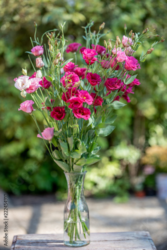 Pink flowers in the vase