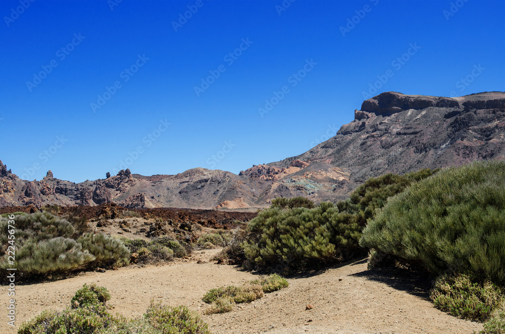 Surroundings of the volcano Teide with hardened lava and mountain vegetation. Teide National Park mountain landscape above the clouds. Tenerife, Canary Islands, Spain