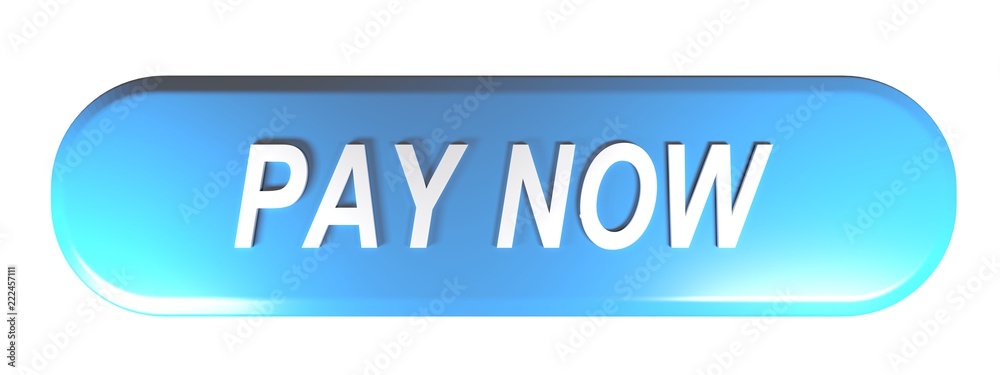 Blue rounded rectangle push button PAY NOW - 3D rendering Blue rounded rectangle push button PAY NOW - 3D rendering
