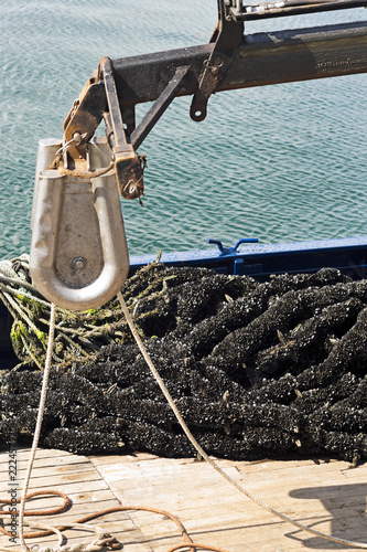 mussel farm aquaculture rafts in Galicia , Spain