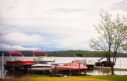 Multiple sailboats and pontoon boats docked at a pier on an overcast summer landscape