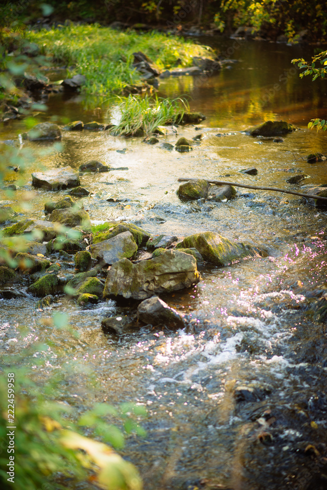 natural background: autumn landscape-forest stream with clear water in the sun