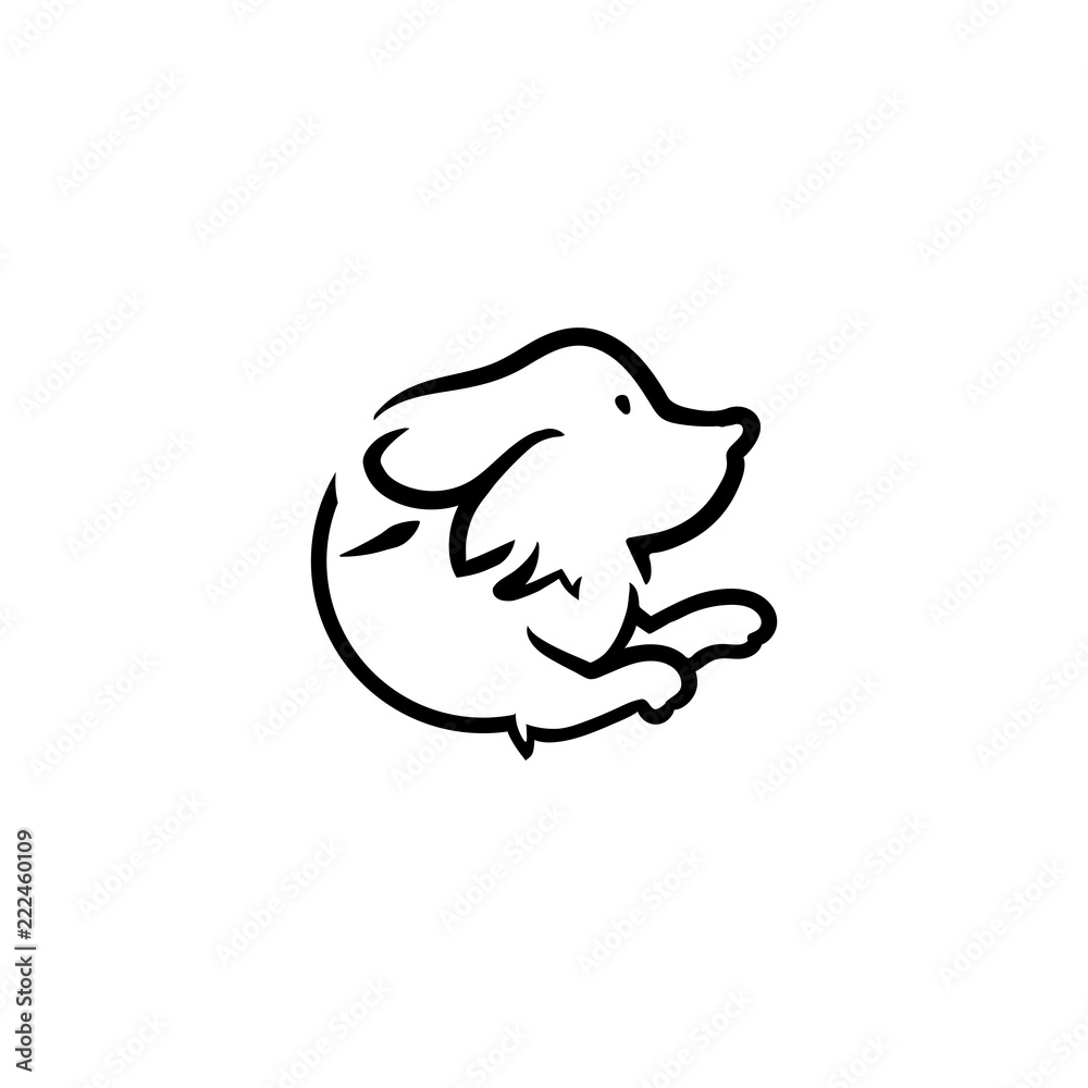 Fototapeta premium Dog - Running and Jump through Circle
