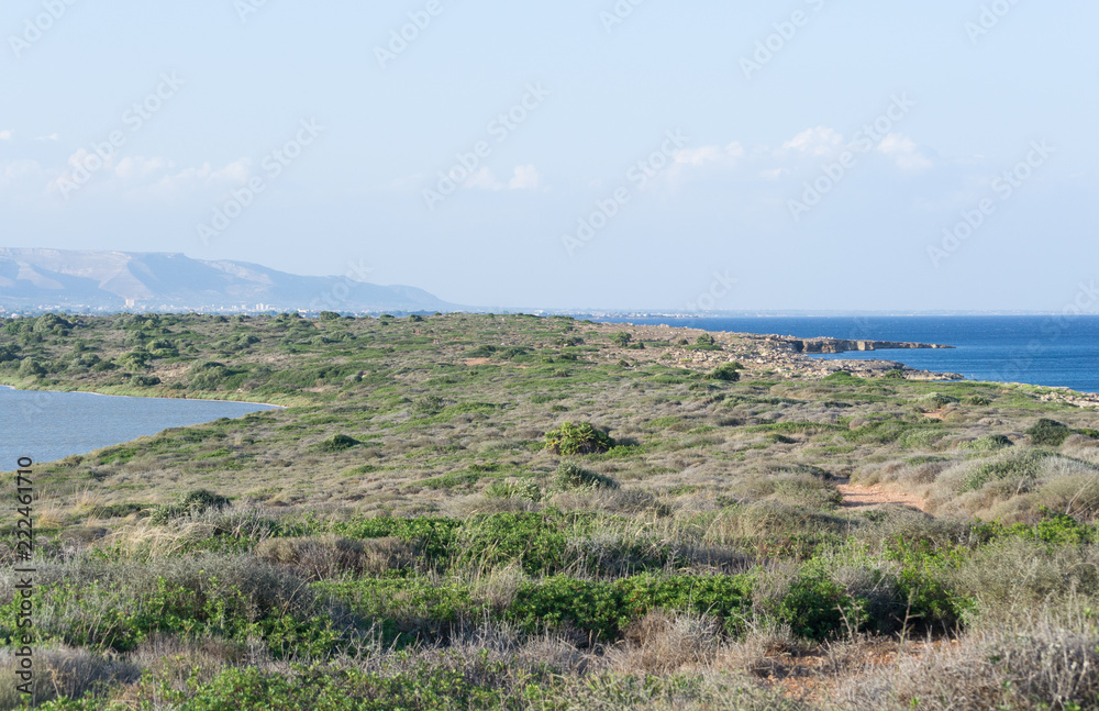 Marineo main image 0