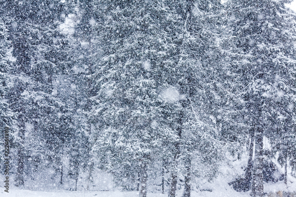 Christmas winter snow Finland Christmas winter snow Finland