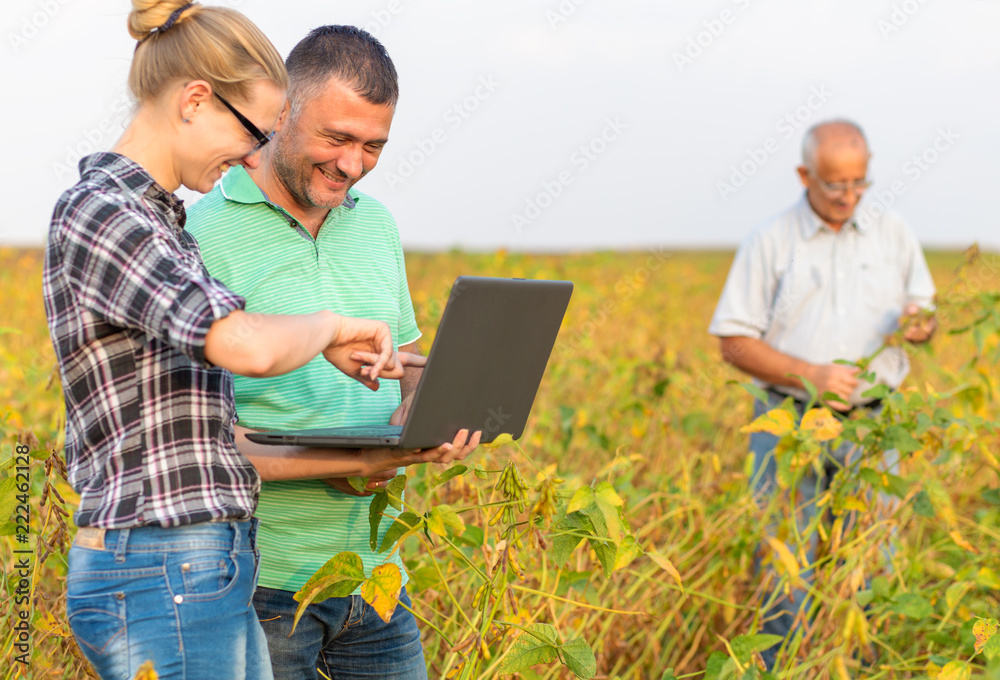 Group of farmers with laptop standing in a field examining soybean crop. Group of farmers with laptop standing in a field examining soybean crop.
