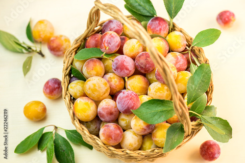 Foto Mirabelle plum. Fresh berries in a small basket.