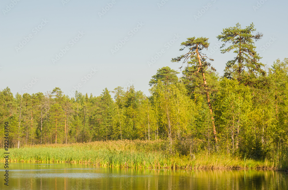 Shore of the lake in the Arkhangelsk region