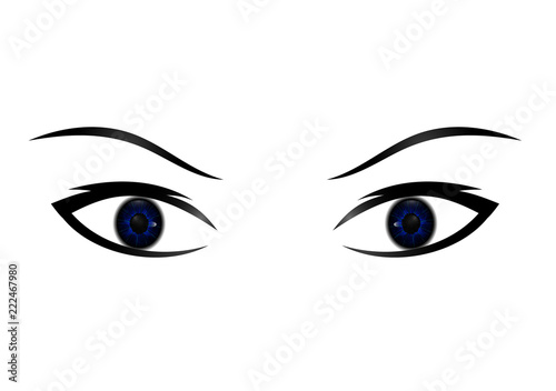 Hand-drawn woman s sexy luxurious eye with perfectly shaped eyebrows and full lashes. Idea for business visit card, typography vector. Perfect salon look.