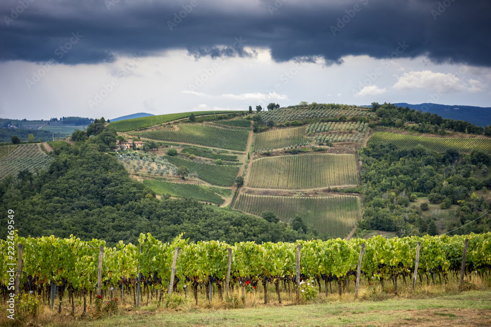 Chianti hills with vineyards. Tuscan Landscape between Siena and Florence. Italy
