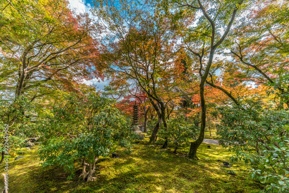 Autumn leaves and Fall foliage at Hogon-in temple, Tenryu-ji sub-temple located in Arashiyama, Kyoto, Japan Autumn leaves and Fall foliage at Hogon-in temple, Tenryu-ji sub-temple located in Arashiyama, Kyoto, Japan