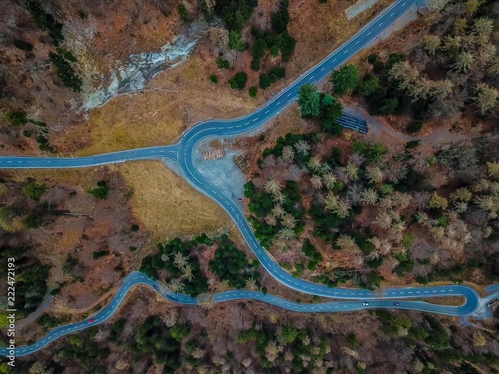 Roads Bird View