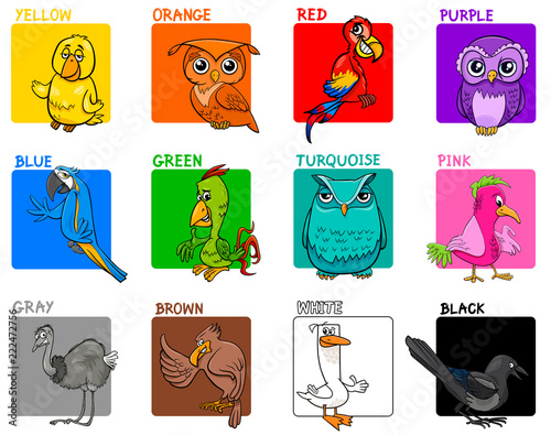 basic colors cartoon educational set with birds