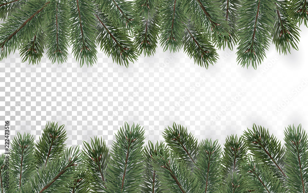 Detailed Christmas tree branches background on transparent background.  Christmas decoration. Realistic fir tree border. Vector New Year design for  cards, banners, flyers, party posters, headers. Stock Vector | Adobe Stock