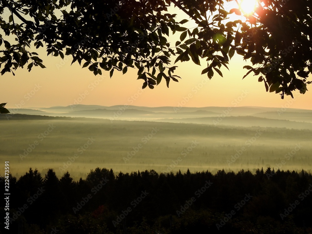 Petit matin Petit matin
