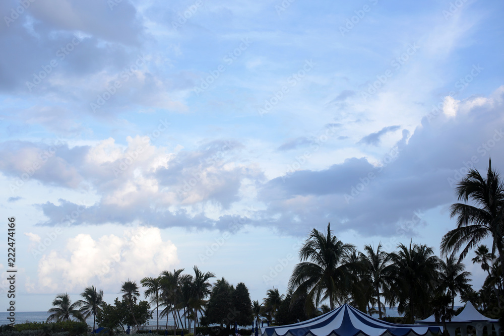 Palms, tropical beach and cloudy sky