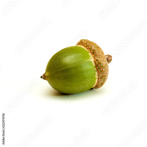 Green acorn on a white.