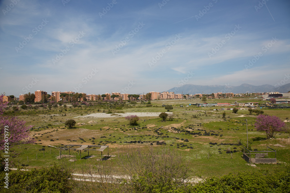 Discarica di copertoni a Guidonia Montecelio, adiacente campo Rom Discarica di copertoni a Guidonia Montecelio, adiacente campo Rom
