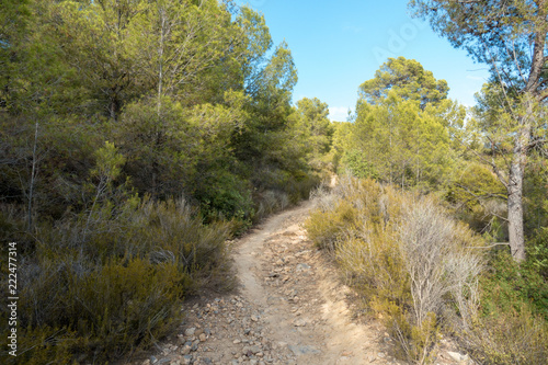 The desert park of Las Palmas in Castellón