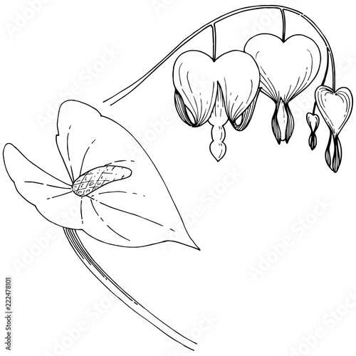 Tropical flower in a vector style. Isolated illustration element. Vector flower for background, texture, wrapper pattern, frame or border.