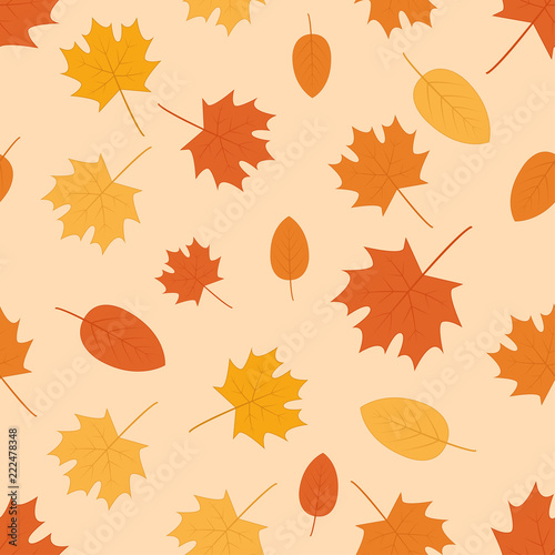 Autumn leaves seamless pattern background - Vector